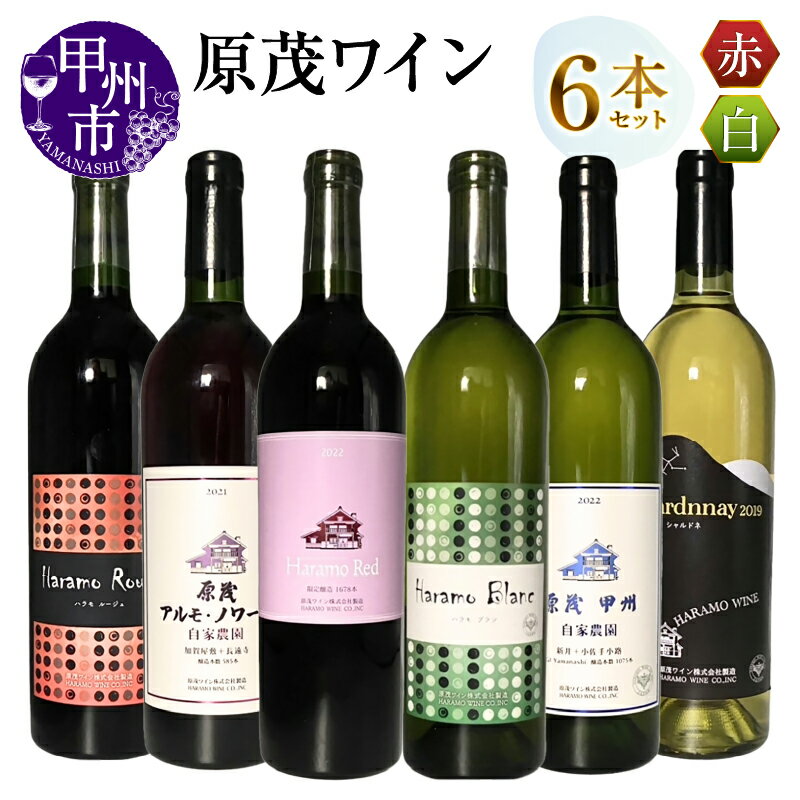 【ふるさと納税】 ワイン 赤 白 6本 750ml 辛口 ミディアムボディ ハラモ ルージュ アルモノワール ブラン シャルドネ Haramo red 原茂甲州自家農園 原茂ワイン パーティー 母の日 父の日 記念日 ギフト 山梨県 甲州市 （MG） 【H-670】