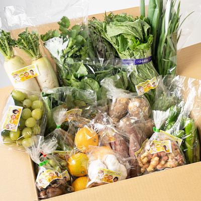 ふるさと納税 輪之内町 【栽培期間中化学肥料・農薬不使用なので安心・安全】　季節の新鮮野菜の詰め合わせ |  | 03