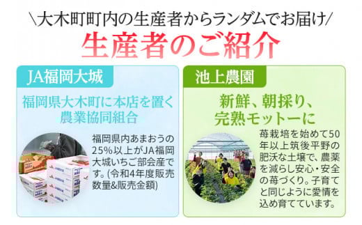 いちご あまおう 大木町 約270g×4パック 合計1080g 【2026年1月～4月に順次出荷予定】 CB223