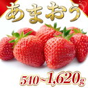 【ふるさと納税】福岡県産 あまおう 540g 1080g 1620g 送料無料 訳あり 大粒 大きい 不揃い 選べる 博多あまおう 2パック 4パック 6パック 果物 フルーツ いちご 苺 ストロベリー 福岡 季節限定 MZ048 MZ055 MZ056 MZ057 MZ058 MZ059先行予約 2024年12月～2025年3月発送