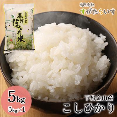 ふるさと納税 下呂市 (2026年10月から順次発送)【2026年産】こしひかり 5kg 【51-15】