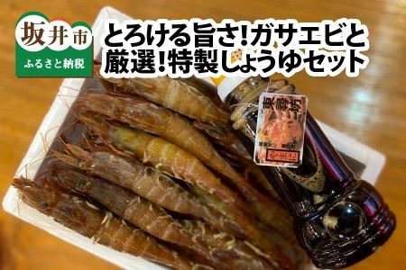 【福井名物】ガサエビ（ガスエビ）刺身用 とやまに特製しょうゆセット [A-4374]