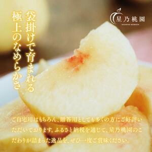 【清水白桃】岡山県産 三つ星 星乃桃園 1.2kg (4～5玉)【配送不可地域：離島】【1614283】