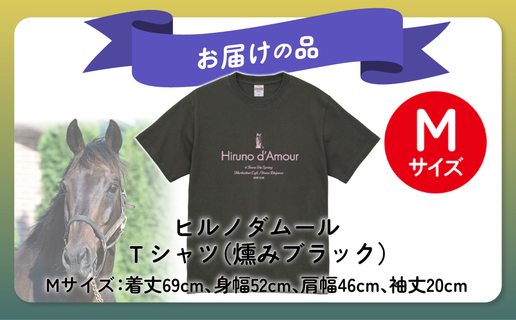 【ヒルノダムール】（燻みブラック）Ｔシャツ 選べる４サイズ【М】 BRTV300-2