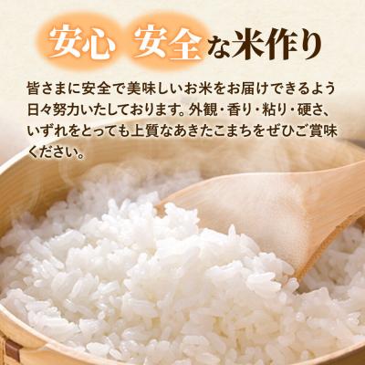 ふるさと納税 大仙市 米 あきたこまち 白米 5kg 伊藤精米店|22_its-010501 |  | 03