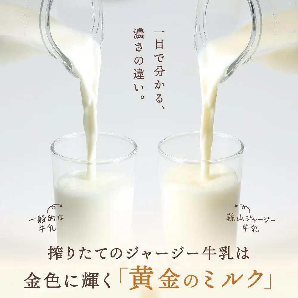 ヨーグルト 岡山県真庭市蒜山 ひるぜんジャージーデザートヨーグルト12個セット（4種×3個） 【hiru014-01】