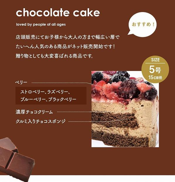 【福岡市】ベリーの濃厚チョコケーキ　5号　15cm径　ストロベリーフィールズ