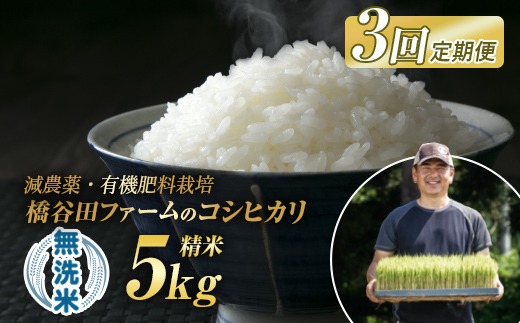 《定期便3ヶ月》令和7年産米 米 減農薬・有機肥料栽培 西会津産米「コシヒカリ」無洗米 5kg 米 お米 おこめ ご飯 ごはん 福島県 西会津町 F4D-1538