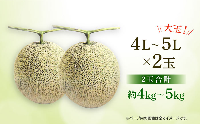 【数量限定】【先行予約】アールスメロン 約4kg～5kg（4L～5L）2玉入【株式会社 鹿本町振興公社（水辺プラザ鹿本）】 [ZEG001]