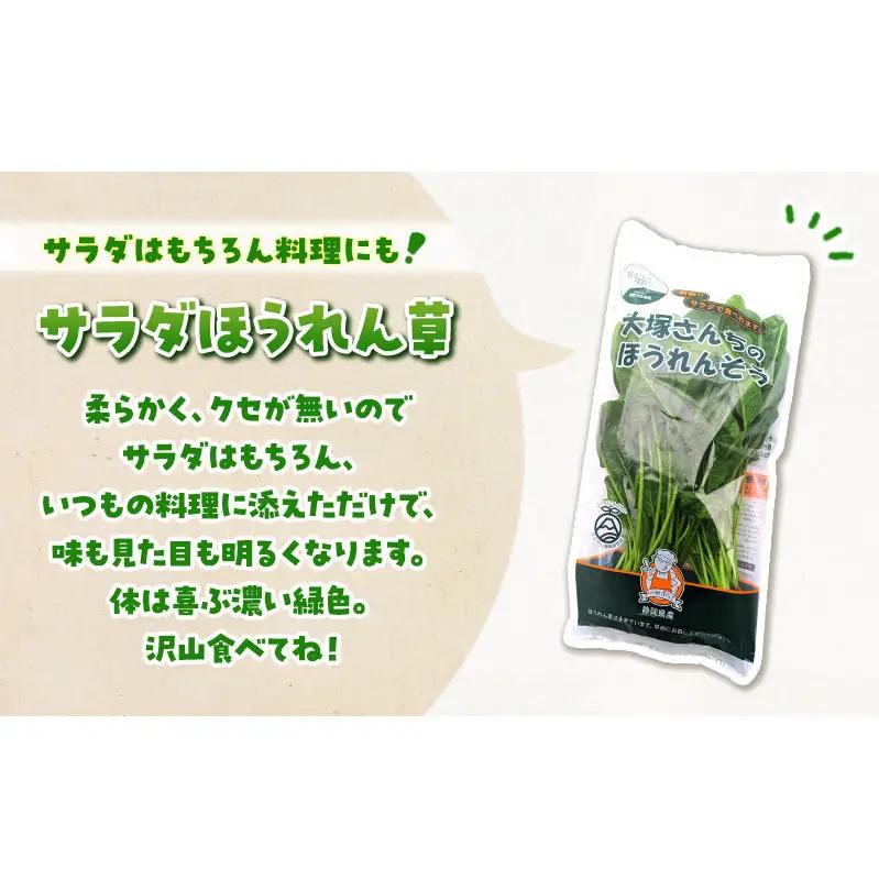 サラダほうれん草 22袋 野菜サラダセット 詰め合わせ ほうれんそう ホウレン草 新鮮 産地直送 大容量 業務用 まとめ買い 野菜セット ギフト 詰合せ 常備野菜