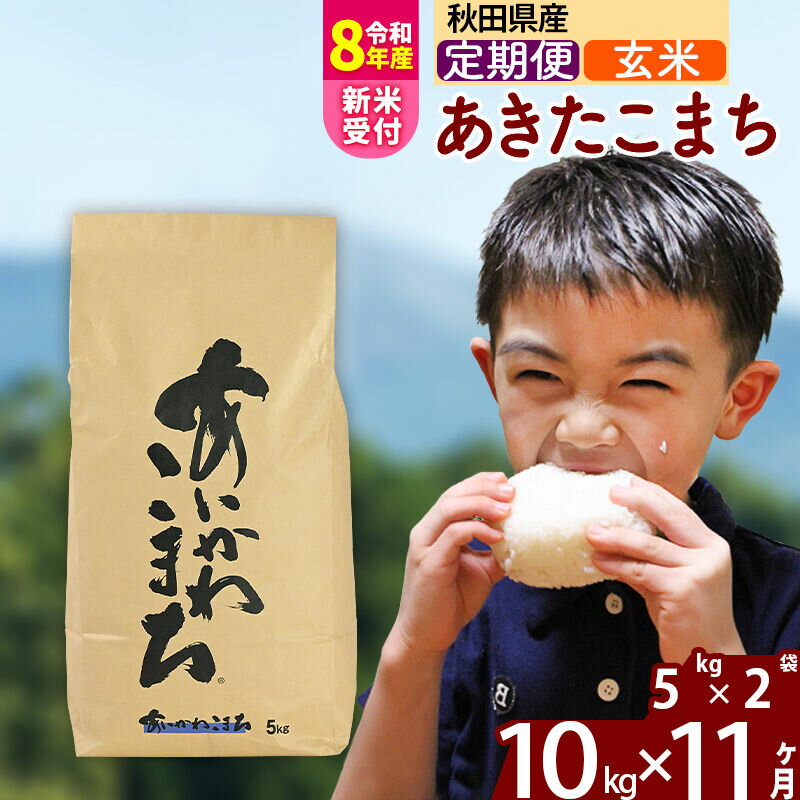 【ふるさと納税】※R8産新米予約※ 《定期便11ヶ月》秋田県産 あきたこまち 10kg【玄米】(5kg小分け袋) 2026年産 令和8年産 お届け周期調整可能 隔月に調整OK お米 藤岡農産 [藤岡農産 秋田 お米 あきたこまち 米どころ 東北]