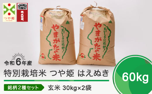 
新米 令和6年産 米 つや姫 はえぬき 各30kg 計60kg 大石田町産特別栽培米 玄米 ja-thgxb60
