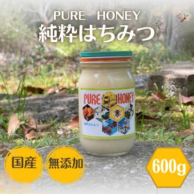 ふるさと納税 田辺市 PURE HONEY 純粋はちみつ　600g　【nts006-1】