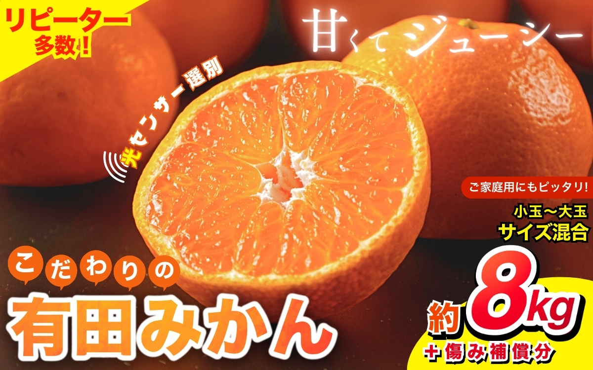【2025年11月発送予約分】【家庭用】【農家直送】こだわりの有田みかん 約8kg＋250g(傷み補償分) 有機質肥料100% サイズ混合　【11月発送】※北海道・沖縄・離島配送不可 みかん みかん みかん みかん みかん  フルーツ 果物 くだもの 柑橘【nuk100-11】