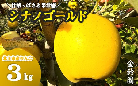 【 北上市産 りんご 】 ＼ 予約受付 10月下旬 発送開始予定 ／シナノゴールド 【 贈答用 】 3キロ セット (約8～12玉) 国産 リンゴ りんご 3kg 果物 フルーツ 産地直送 送料無料 新鮮 金鈴園 岩手県 北上市 C0521