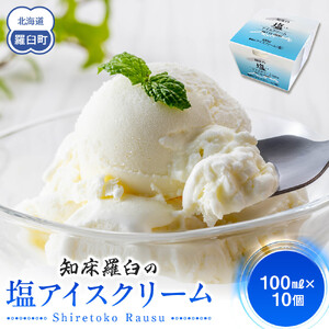 知床羅臼の塩 アイスクリーム 10個  アイス スイーツ バニラ お菓子 家族 北海道