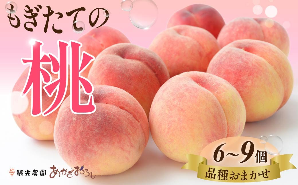 
                  桃 樹上完熟 もぎたての桃 2kg 6~9個入り 先行予約 数量限定 | 期間限定 桃 フルーツ 果物 産地直送 限定品 贈り物 新鮮 お取り寄せ デザート ギフト 風味豊か 香り 甘い 限定 果樹 フルーツ 旬 ジューシー みずみずしい 季節のフルーツ 前橋市 群馬県
                