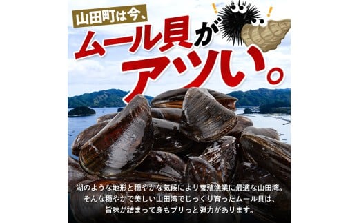 明神丸かき・ほたてきちのムール貝 1kg 【沖縄県・離島配送不可】 三陸山田 山田町 しゅうり貝 海産品 山田産 山田湾  魚貝 魚介 海産物 食品 YD-882