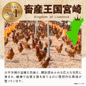 鶏肉【テレビで話題！】宮崎県産若鶏もも肉カット 3.3kg 鶏肉