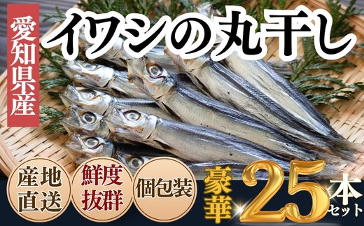 ＜大好評!＞脂の乗ったいわしの丸干し 25本セット