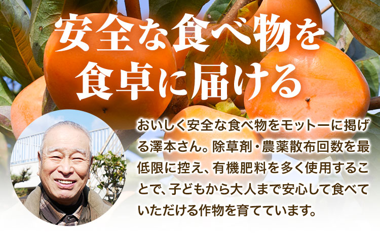 柿 かき あんぽ柿用 T軸枝無 種なし 生渋柿 1.5~2kg ふるさと農園《2026年10月中旬-11月上旬頃より発送予定(土日祝除く)》 和歌山県 日高町 贈り物 ギフト