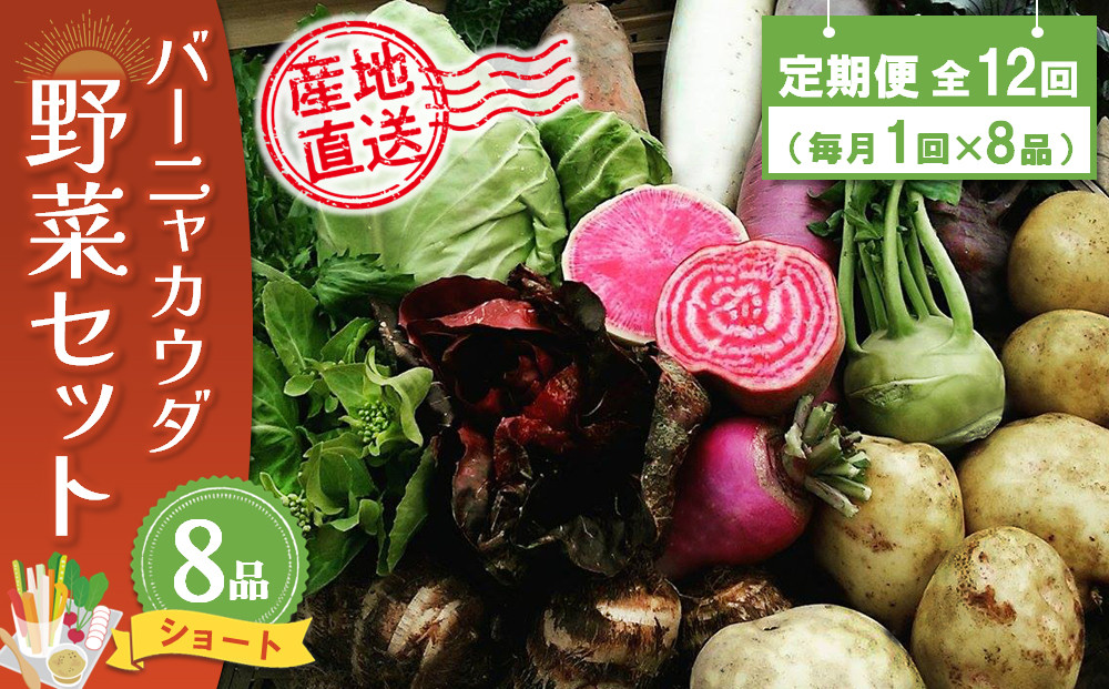 
年間定期便12回 バーニャカウダ野菜セットショート 8品 【有機野菜 おまかせ野菜セット イタリア野菜 西洋野菜 定期便】(H078141)
