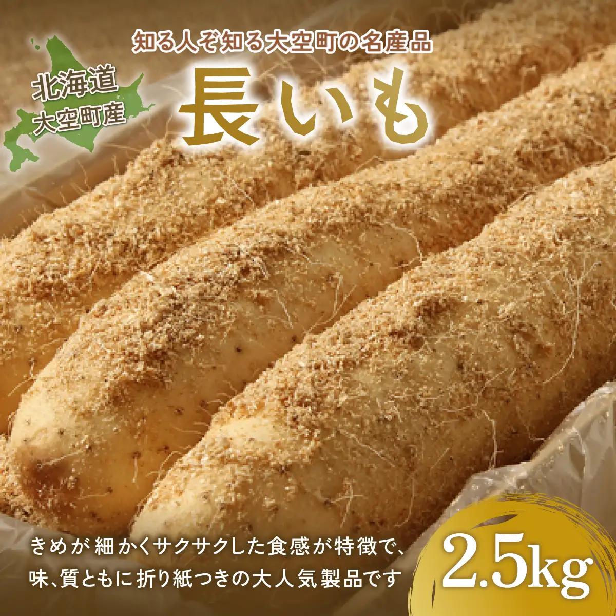 大空町産長いも2.5kg 【 ふるさと納税 人気 おすすめ ランキング 長いも いも 長イモ イモ 北海道 大空町 送料無料 】 OSA001