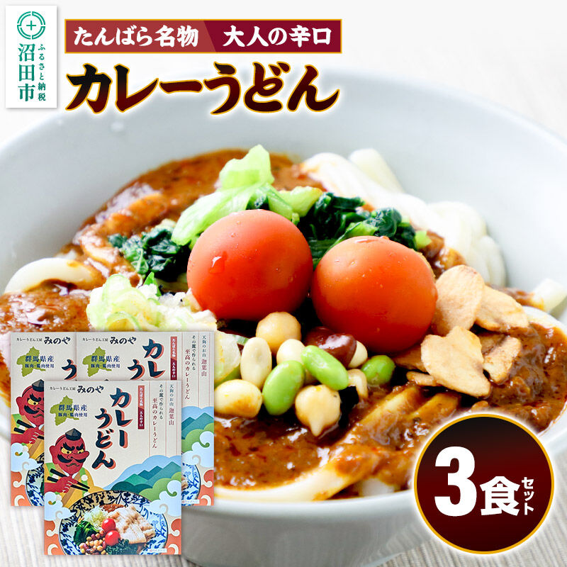 みのや 大人の辛口カレーうどん 3食セット ホットパック冷凍品