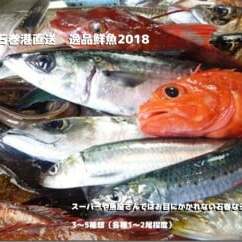 石巻港直送 逸品鮮魚