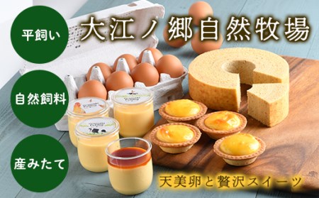 Y202 大江ノ郷セット