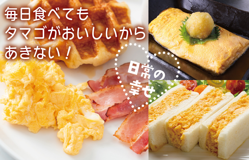 戸野さん家のこだわりタマゴ 定期便 60個×全6回 Mサイズ 合計 360個【毎月配送コース 卵 たまご 国産 濃厚 とことん餌にこだわった とのたま】 099Z165