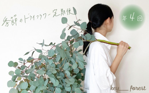【定期便4回】 季節の草木花のスワッグ リース ( 花 お花 ドライフラワー 手作り アレンジメント 定期便 お楽しみ 花 お花 花材 フラワー アレンジメント ブーケ リース スワッグ ギフト 誕生日 記念日 母の日 クリスマス インテリア 雑貨 植物 自宅用 お祝い 贈り物 贈答 ) 下関 山口 💐