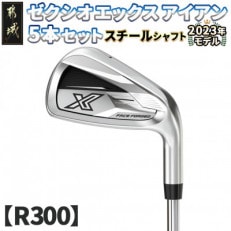 ゼクシオ エックス アイアン 5本セット スチールシャフト【R300】 ≪2023年モデル≫