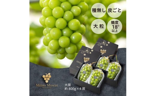 シャイン マスカット 2026年 「MiiinoMuscat」4房（約3.2kg） | シャインマスカット シャイン マスカット 果物 フルーツ 新鮮 ブドウ 葡萄  岡山 国産 ギフト おすすめ 人気