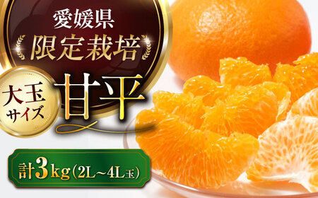 甘平【2026年2月上旬から発送】甘平 3kg（ 2L-4L）かんぺい [AGAO010]