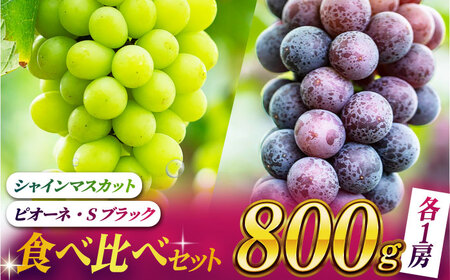 【先行予約】【数量限定】食べ比べセット 800g（シャインマスカット &amp; ピオーネ or Sブラック 各一房）【合同会社 社方園】[ZBZ001]