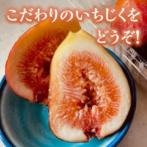 【期間限定】甘味凝縮 いちじく 750g×1【2500C08201】
