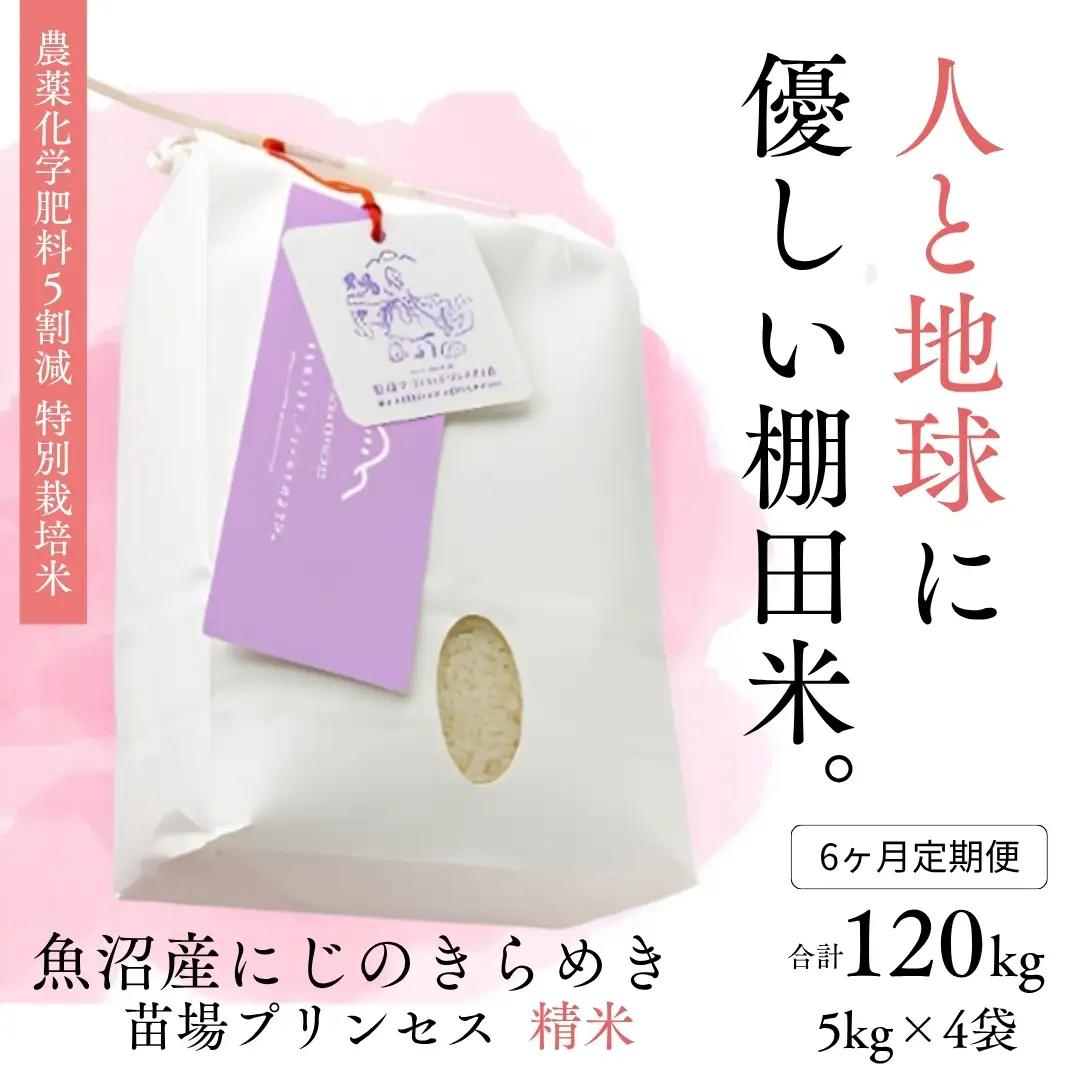 【令和8年産先行予約】【6ヶ月定期便】【農薬化学肥料5割減】魚沼産にじのきらめき苗場プリンセス特別栽培米 精米20kg(5kg×4)計120kg | 津南町 にじのきらめき
