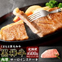 【ふるさと納税】黒樺牛 【2回定期便】肉厚サーロインステーキ 300g 計600g 定期便 肉 お肉 牛肉 黒毛和牛 和牛 ステーキ サーロイン 国産 冷凍 熊本県 送料無料