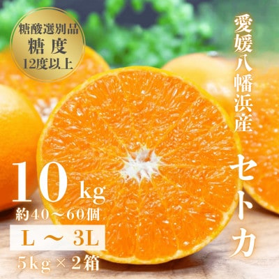 【みかんの大トロ】糖度12.0以上 酸1.4以下 糖酸選別品 愛媛セトカ 10kg【H20−77】【1620331】