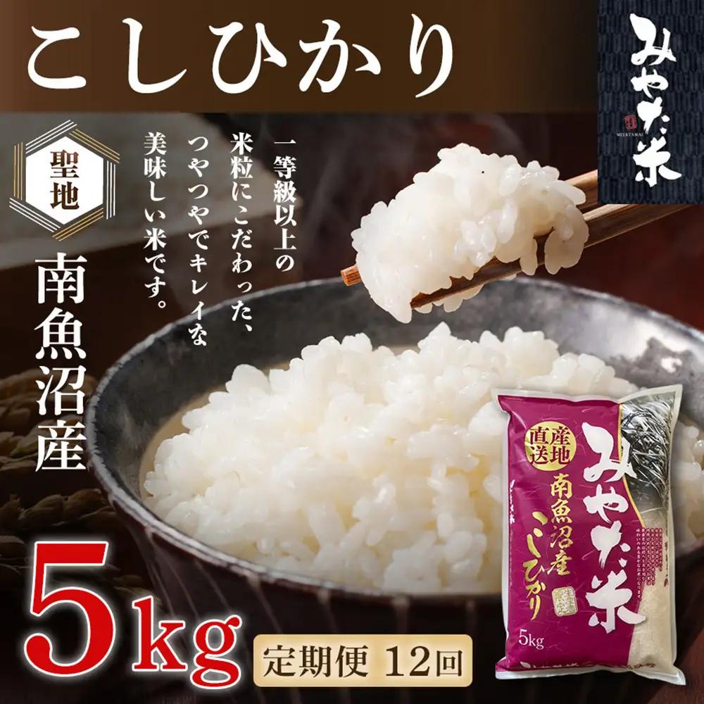 【令和8年 新米予約】【定期便12ヶ月】南魚沼産こしひかり　みやた米5kg【2026年10月上旬より1ヶ月以内に順次発送予定】｜こしひかり