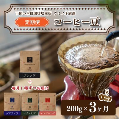 ふるさと納税 下関市 スペシャルティ コーヒー豆 定期便 200g×3回 EW131