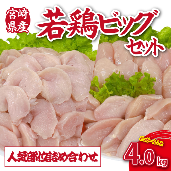 【D058】【人気部位詰め合わせ】宮崎県産若鶏4kgビッグセット（若鶏 国産 モモ ムネ ササミ 小分け 大容量）