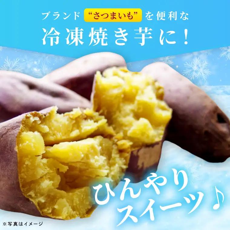 冷凍 焼き芋 品種おまかせ詰め合わせ 2.5kg さつまいも_CF003