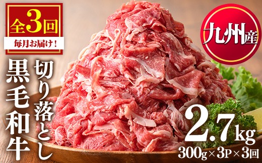 
                  No.1376-A ＜定期便・全3回＞九州産 黒毛和牛切り落とし(総計2.7kg・300g×3P×３回) 牛肉 切落し 切り落し 和牛 冷凍 国産 小分け 国産牛 お肉 牛丼 野菜炒め カレー 定期便 冷凍 寄附額改定 小分け 【LRプラスK】
                