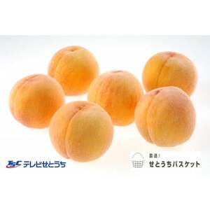 黄金桃(ご家庭用)6～9玉入り　【2025年8月末頃より発送予定】【配送不可地域：離島】【1460796】