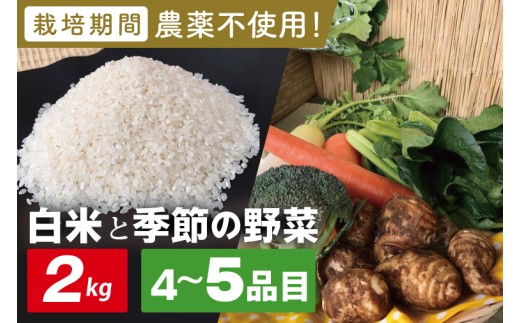 【身体が喜ぶ野菜】白米2kgと季節の野菜(おまかせ4〜5品)(茨城県共通返礼品／潮来市)｜米 お米 こめ 白米 野菜 野菜セット 栽培期間農薬不使用 茨城県共通返礼品 共通返礼品 茨城県 潮来市 行方市(BI-58)
