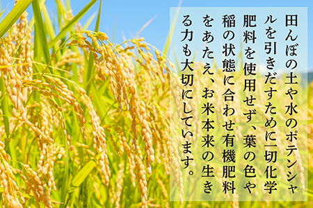 令和5年度米 多良木町産 こめたらぎ 30kg ×1袋 お米 新米 白米 精米 熊本県産 多良木町 にこまる 有機肥料使用 大容量 ふっくら 甘い 044-0509-a