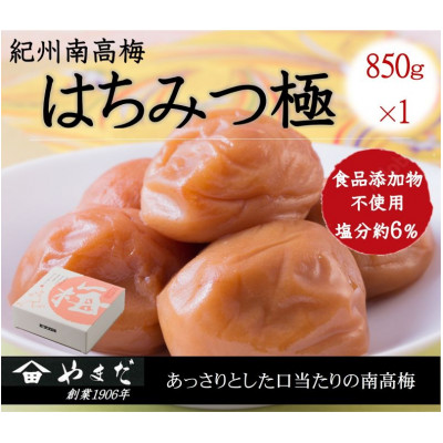 紀州南高梅はちみつ極塩分約6%(850g)【1584259】