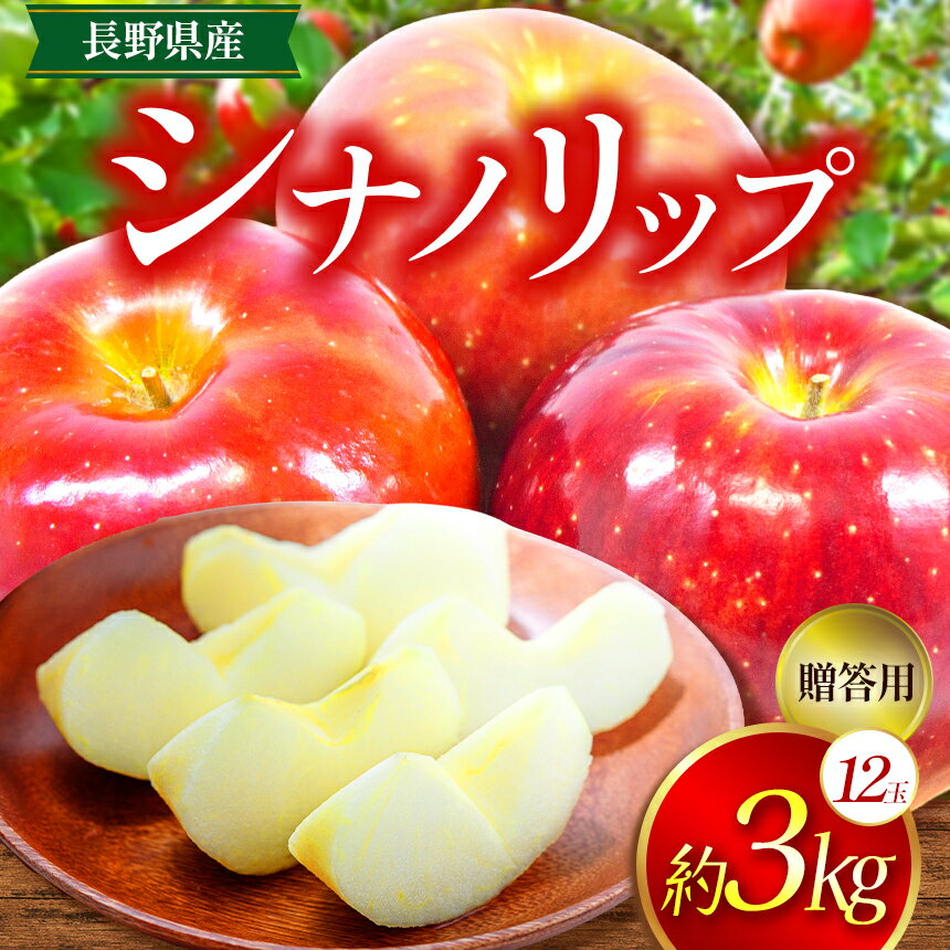 【ふるさと納税】 りんご 信州 上伊那産 贈答用 シナノリップ 約3kg （12玉）｜りんご リンゴ 林檎 果物 くだもの シナノリップ JA上伊那 伊那市 長野県 信州 ふるさと納税【011-a7】